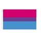 thumbnail image 2 of Bandera Bandera Progreso Banderas LGBT 3x5 Exterior Bisexual Todo Inclusivo Bandera Banderas Poliéster Resistente Deco Bisexual Lesbianas Bandera Bandera, 2 of 7