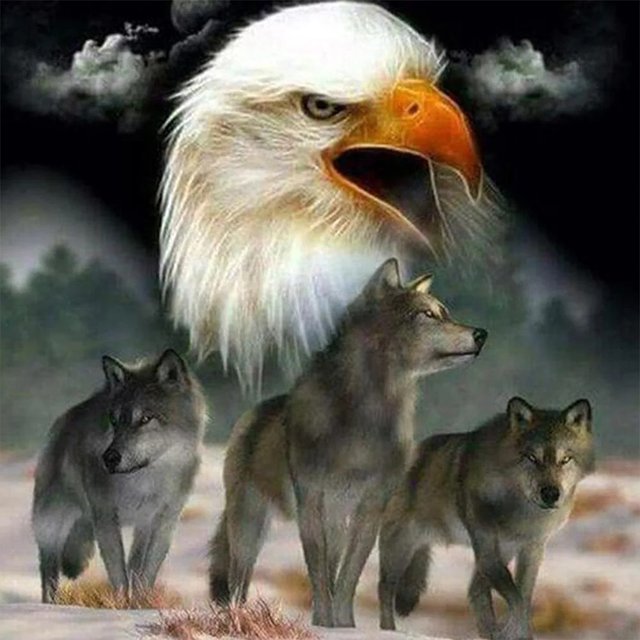 Pintura de diamante 5D DIY Kit de lobo de taladro redondo completo Decoración del hogar Arte artesanal FLhrweasw Nuevo