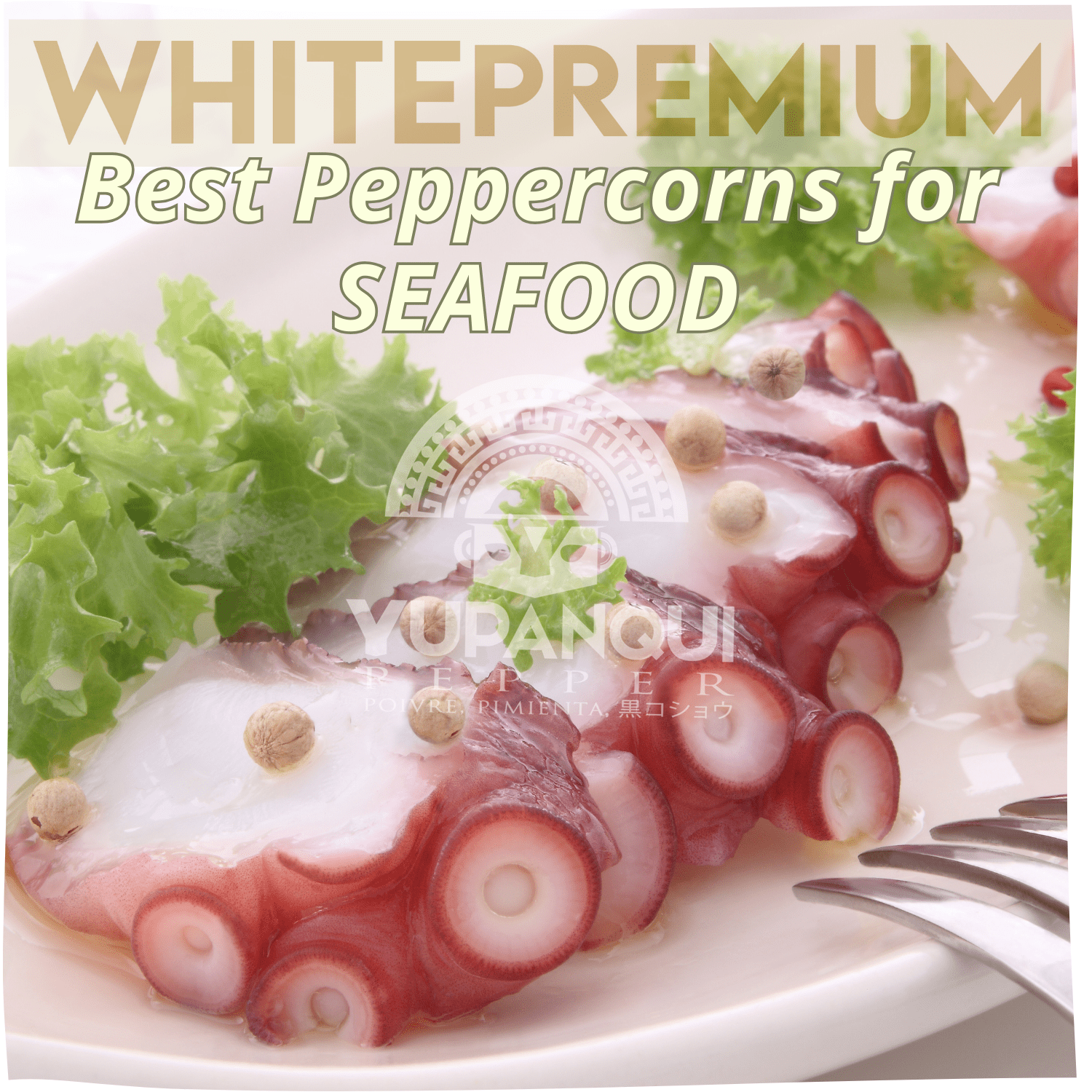 Yupanqui White Pepper Grinder 3oz Gourmet Flavor Vegan White Peppercorns for MEDITERRANEAN CUISINE
