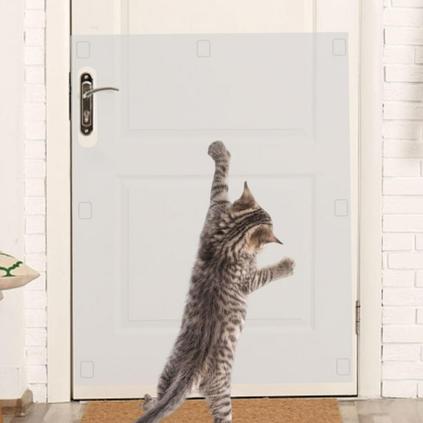 Anti cat dog door hotsell