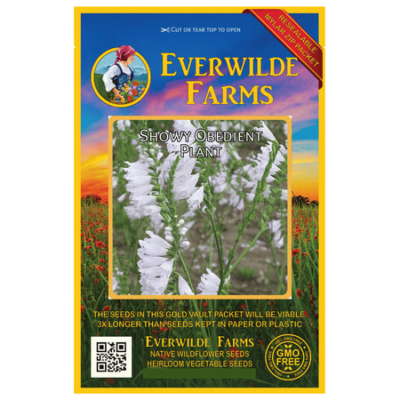 Planting Wildflower Seeds (Everwilde Farms - 600 Showy Obedient Plant Native Wildflower Seeds - Gold Vault Jumbo Bulk Seed)