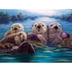 thumbnail image 1 of Cuadros Decorativos Nutria 5D DIY Full Round Drill Diamond Painting Hanging Art Picture 30x40cm Sywqhk Nuevos Originales, 1 of 9