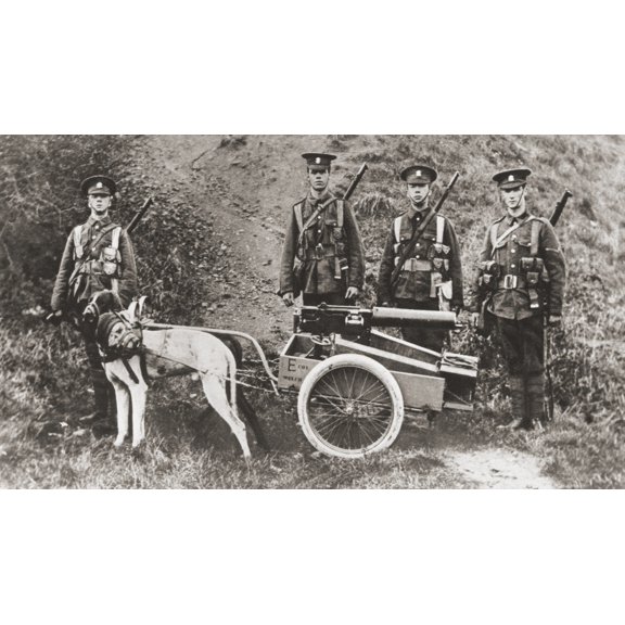 British Army Using Dogs To Pull A Machine Gun During World War I From The Illustrated War News 1915 Canvas Art - Ken Welsh  Design Pics (38 x 22)