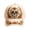 Skull, variant on Women's Baseball Cap 2D Halloween Pumpkin Witch Ghost Embroidered Sun Hat