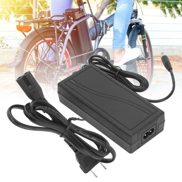 Scooter Charger