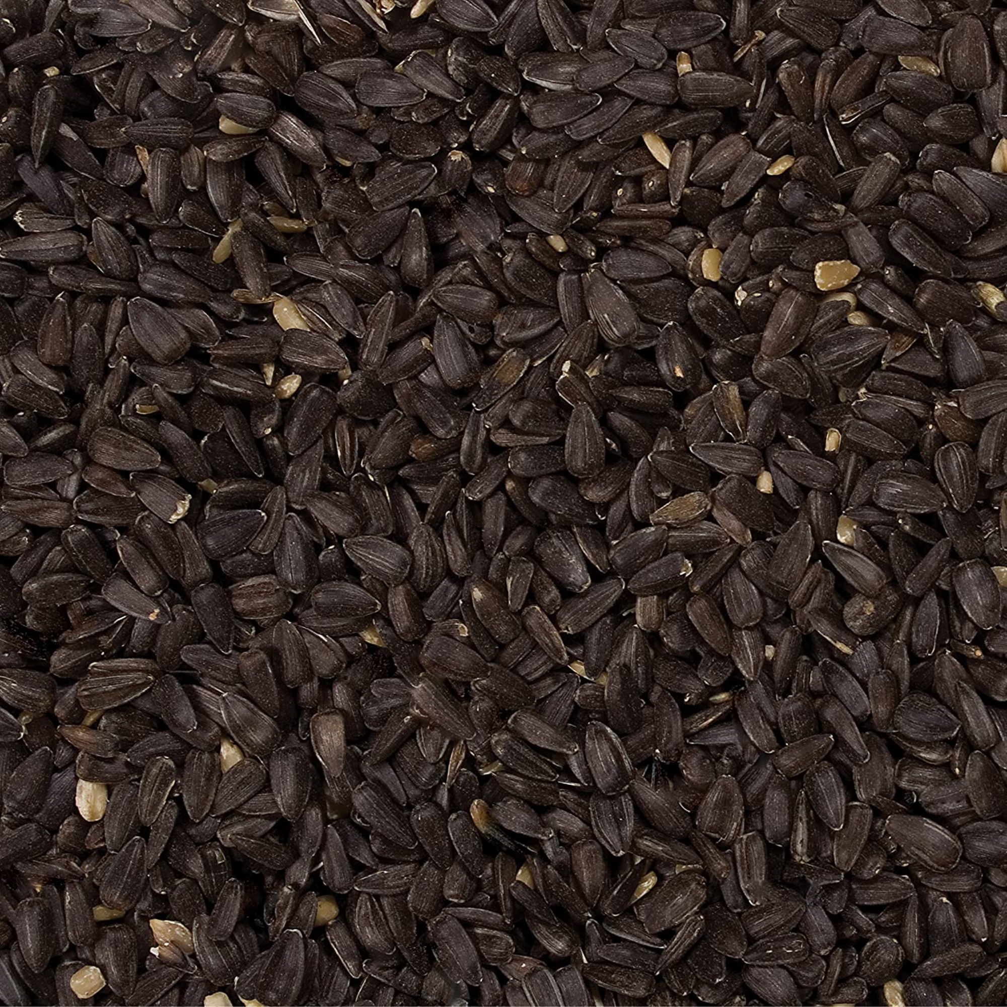 Wild Delight Premium Grade Black Oil Sunflower Bird Food, 20 lb. Bag