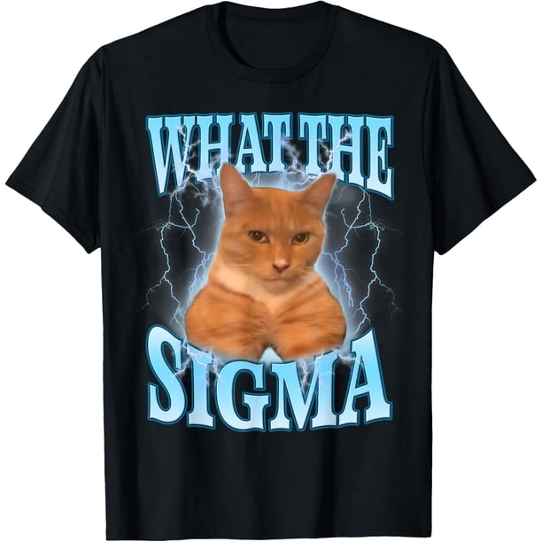 ERM, What The Sigma Meme Cat Ironic Brainrot Y2K Camiseta