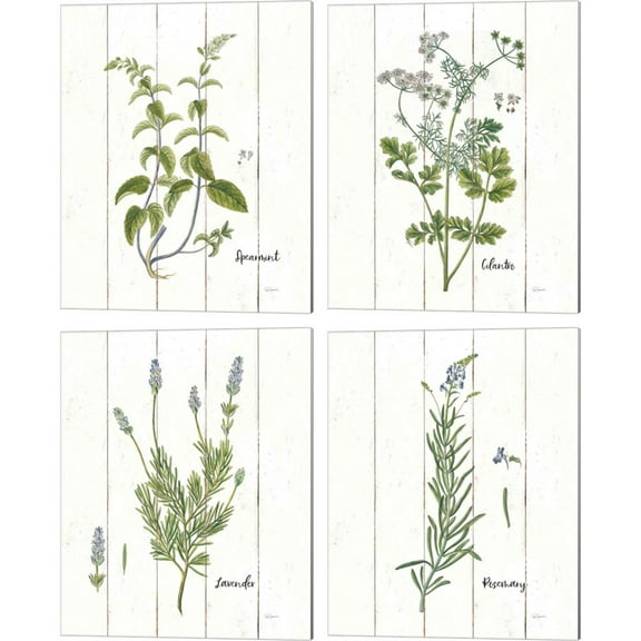 Great Art Now Cottage Herbs by Sue Schlabach 4 Piece Canvas Art Set Each 12"W x 15"H