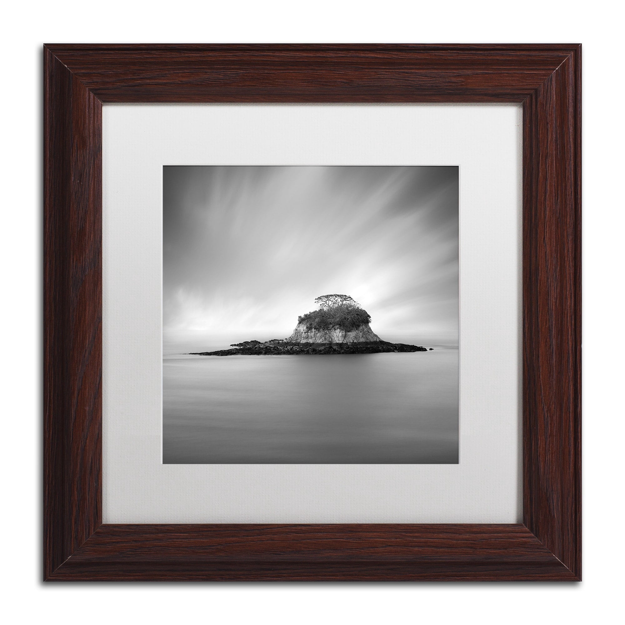 Trademark Fine Art "Rat Island" Canvas Art by Moises Levy White Matte, Wood Frame