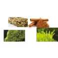 thumbnail image 3 of Hergen Beauty & Wellness Solution S2 Lotion dandruff 100 ml.', 3 of 4