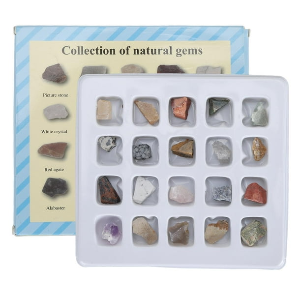 Colección De 20 Minerales Naturales - Piedras Para Coleccionismo