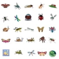 thumbnail image 4 of Insect Stickers,50pcs Insect Stickers PVC Bug Decals Waterproof Vinylfor Kids Teens Unbeatable Value, 4 of 8