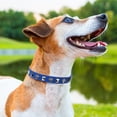 thumbnail image 6 of Leather Dog Collars for Small Medium Dogs with Rivet, Adjustable Studded Cute Dog Collar for Pet Boy Girl Kitten Cats, Bling Spiked Puppy Collars, 6 of 8