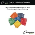 thumbnail image 3 of Champion Sports MBB4SET 4 in. Vinyl Bean Bag Set - Assorted Colors (1-Dozen), 3 of 6