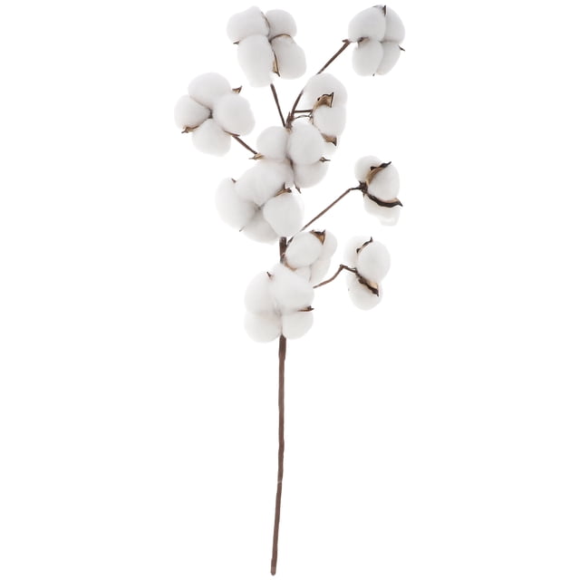 BRIGHTFUFU 10 cabezas de algodón seco tallos estilo de casa de campo de flores artificiales relleno decoración floral simulación flor diy decoración de la boda