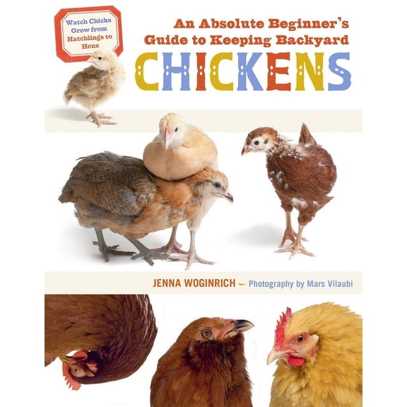 An Absolute Beginner's Guide to Keeping Backyard Chickens: Watch Chicks Grow from Hatchlings to Hens, (Paperback)