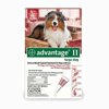 Bayer Flea/Tick Control Liquid