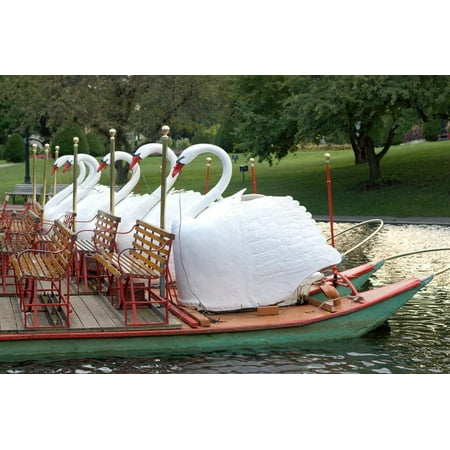 Famous Duck Boats in Boston Common Photo Poster Print Wall (Best Duck Boat For The Money)