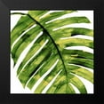 thumbnail image 2 of Miller, Melonie 12x12 Black Modern Framed Museum Art Print Titled - Tropical Palm II, 2 of 5