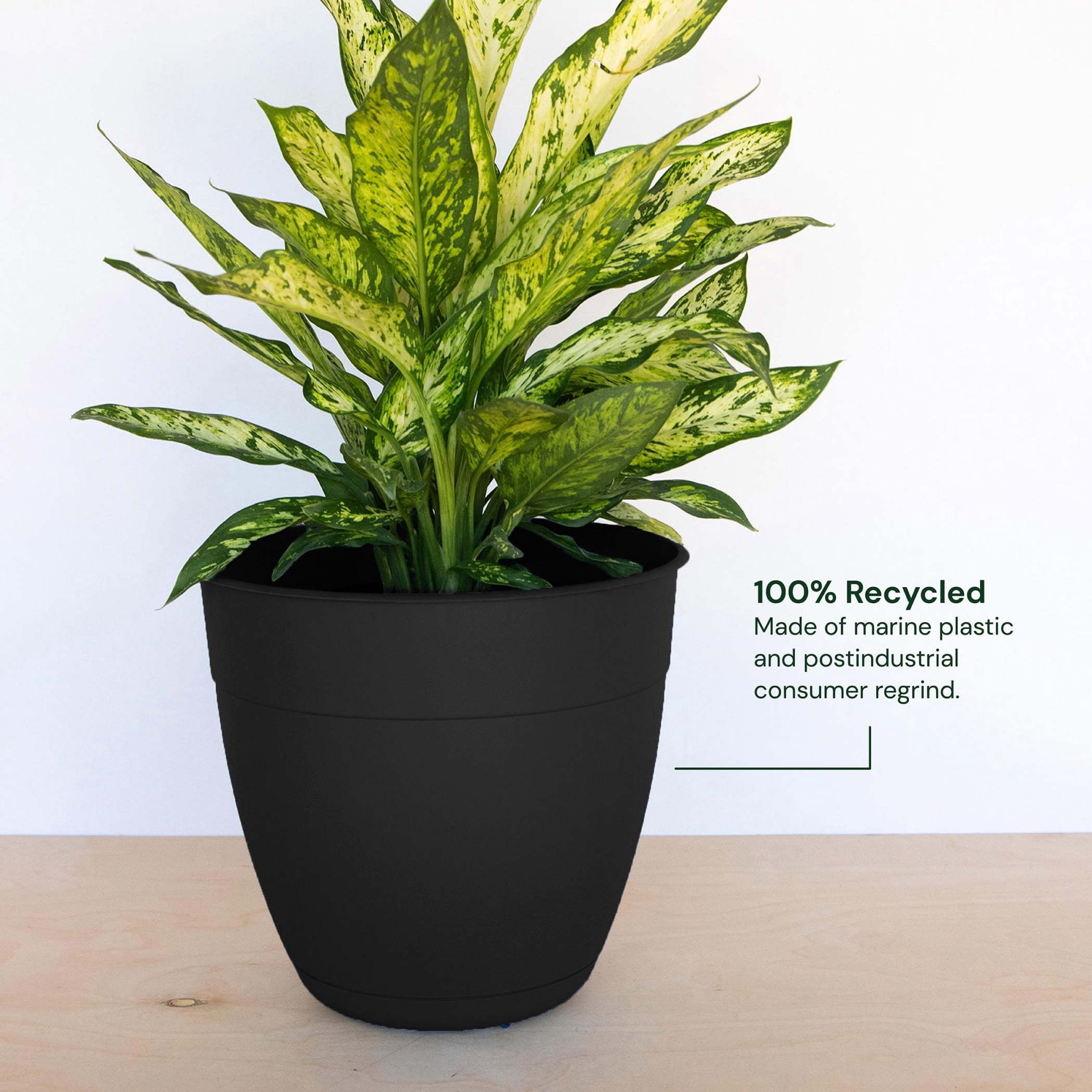 Bloem Dayton 16" Plastic Planter - 100% Recycled Plastic Indoor/Outdoor Garden Pot with Drainage Holes & Saucer Tray, Black