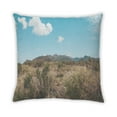 thumbnail image 2 of Ahgly Company State Texas Outdoor Throw Pillow, 18 inch by 18 inch, 2 of 6