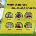 thumbnail image 2 of Mole and Snake Repellent for Lawns, Mole Deterrent for Yards, Gopher Repellent, Vole & Groundhog Repellent Outdoor, Armadillo Repellent for Garden, Covers 120 Sq Ft, 10 Packs, 2 of 4