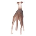 thumbnail image 3 of MODOLO DE PERRO Greyhound, Modelo de Juguete de Galgo Realista Estimula la Curiosidad para el Cargo Durante 3 Años Mayores , 3 of 7