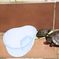 thumbnail image 4 of FELTECHELECTR Turtle Box with Translucent Design for Indoor Habitat 1Set, 4 of 5