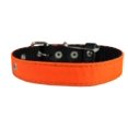thumbnail image 3 of Double Thick Nylon Dog Collar Leather Enforced Metal Buckle Sized to Fit 9.5"-13" Neck, 3/4" Wide., 3 of 3