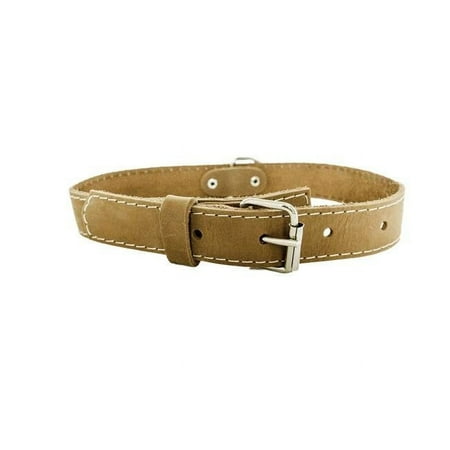 UPC: 0688474604261 | Euro-Dog Collar Luxury Soft Leather Adjustable Buckle Dog Collar Made in USA Affordable European Style