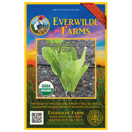 Everwilde Farms - 500 Organic Parris Island Cos Romaine Lettuce Seeds - Gold Vault Jumbo Bulk Seed (Best Way To Keep Romaine Lettuce Fresh)