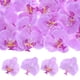 thumbnail image 1 of Cabezas de Flores de Orquídea Artificial de 20 Paquetes, Cabezas de Flores de Mariposa de Seda Falsa para Decoración [3.54", Púrpura Claro], 1 of 1