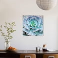 thumbnail image 4 of Miniature Succulent Plants, Botanical Unframed Photographic Print Wall Art by kenny001 Sold by ArtCom, 4 of 4
