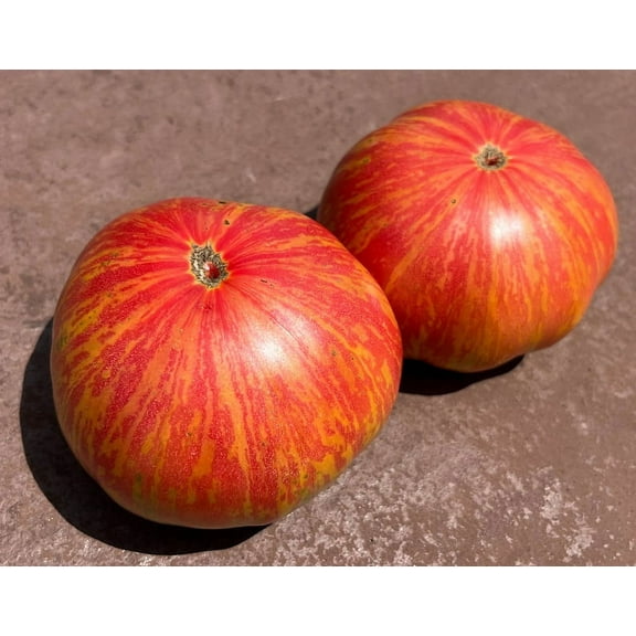Striped Hannah's Prize Striped Dwarf Tomato Premium Seed Packet
