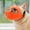 Orange, variant on Short Snout Dog Muzzle for French Bulldog, Pug & Bulldog - Soft Breathable Mesh, Prevents Biting, Chewing & Licking, Adjustable Comfortable Fit for Small & Medium Brachycephalic Dogs