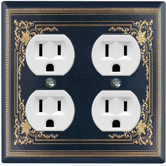 Metal Light Switch Plate Cover Elegant Victorian Black Yellow Frame FRA054