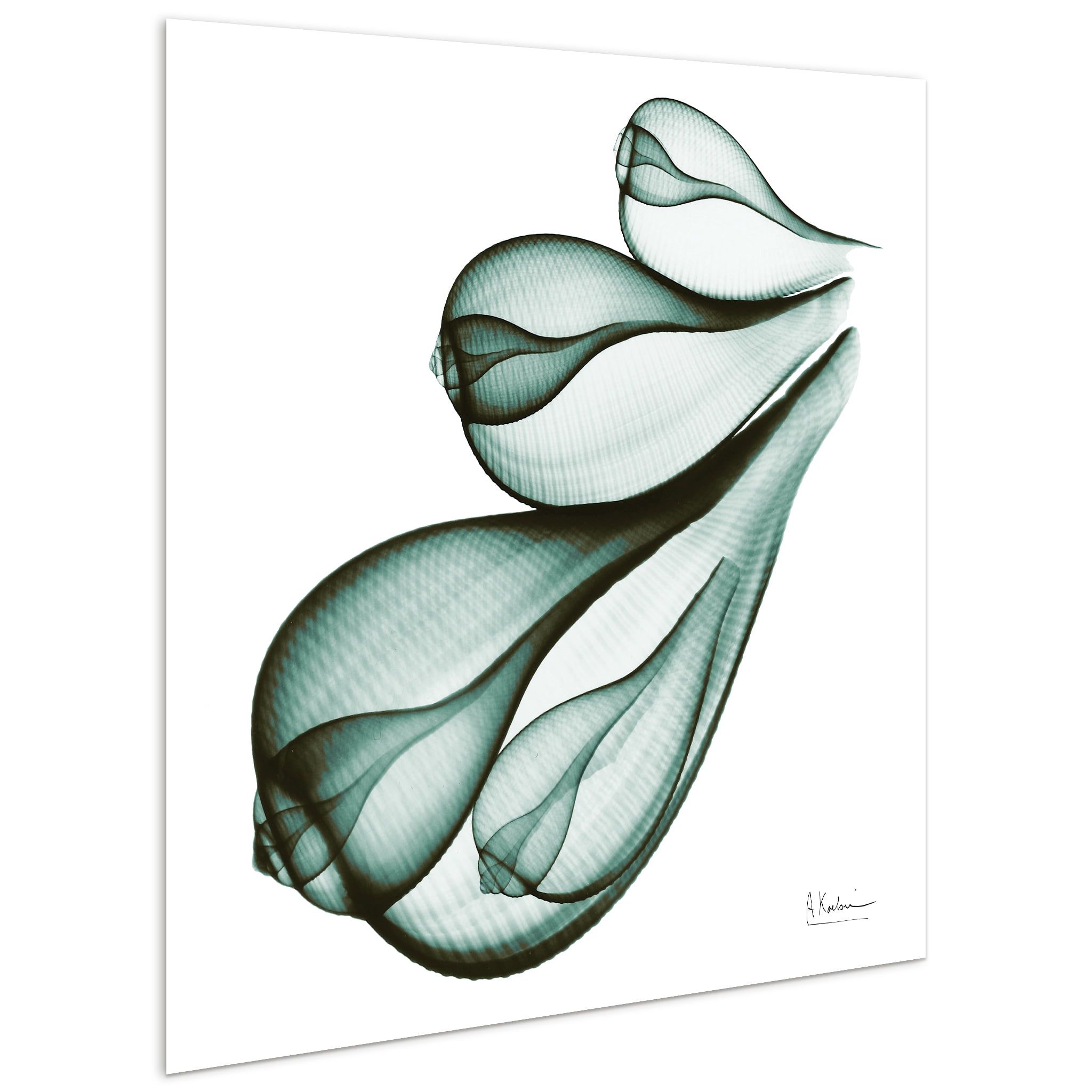 Empire Art Direct Coastal Serenity I & II Frameless Free Floating Tempered Glass Panel Graphic Wall Art, 24" x 24" each, Ready to Hang