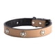 thumbnail image 2 of Correa ajustable para el cuello para perros y gatos con hebilla segura para entrenamiento, collar para mascotas de PU suave, color beige, talla L, 2 of 8