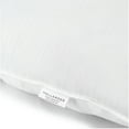 Beautyrest 300TC Cotton Euro Square Pillows Set of 2 in 28" x 28