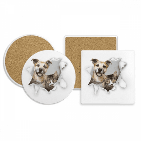 

Animal Paper Break Shock Photo Coaster Cup Mug Holder Absorbent Stone Cork Base Set