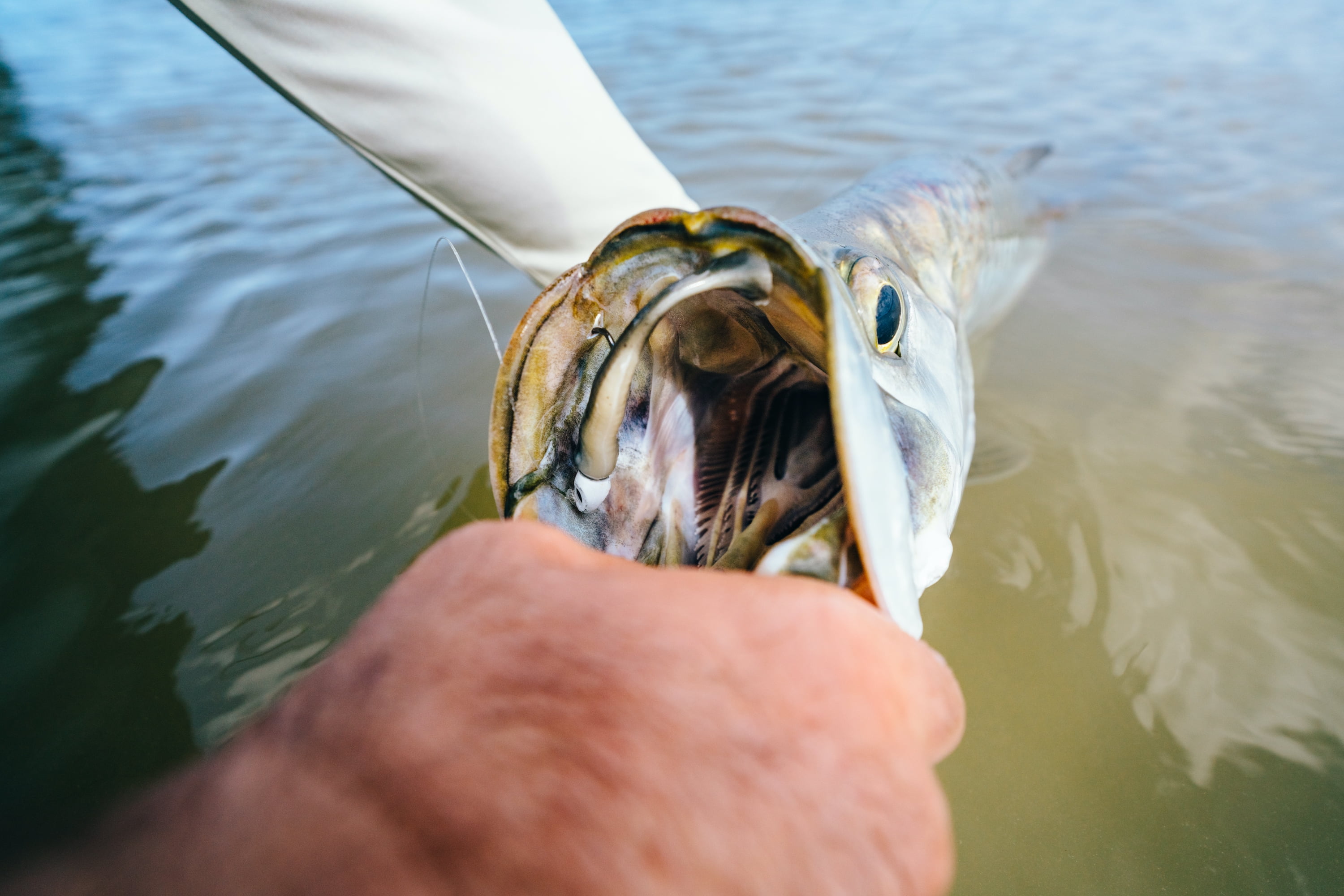 Berkley Gulp! Saltwater Paddleshad Scented Swimbait, Chrome, 3 Inch