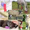 thumbnail image 3 of 48pcs Self Adhesive Bandage Wraps, 4in 5 Yards, Multicolor, 3 of 7