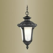 Livex Lighting 7654-04 Oxford Outdoor Chain Hung Lantern Black