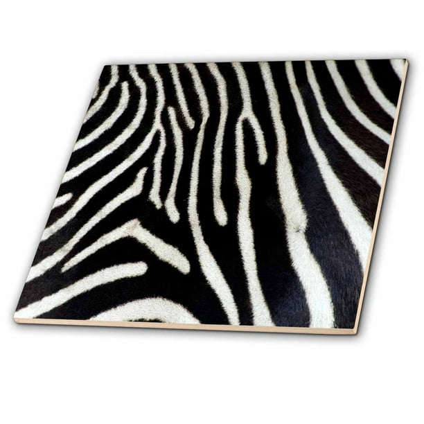 3dRose Black and White Zebra Animal Print Ceramic Tile, 8inch