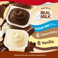 Snack Pack Sugar Free Chocolate and Vanilla Flavored Pudding Family
