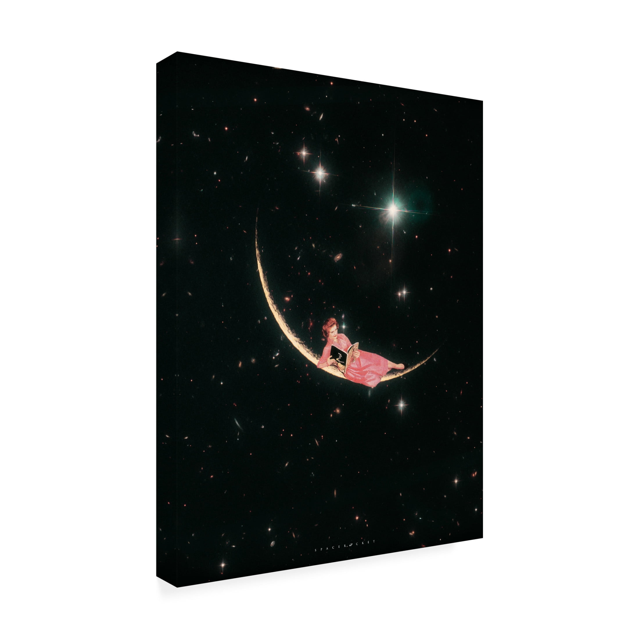 Trademark Fine Art spacerocket art 501 Canvas Wall Art