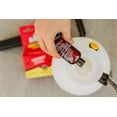 thumbnail image 4 of Bengal 33100 2 oz Concentrated Roach Flea Tick Ant Spider Insecticide - Quantity of 6, 4 of 5