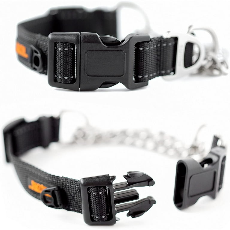 Dog gear cheap ltd