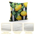 thumbnail image 4 of JEUXUS  Yellow Lemons Black and White Stripes Double Sided Pillow Cases Summer Fresh Fruit Pattern Plush Pillowcase Square Cushion Pillow Covers for Sofa Bed Home Decor, 4 of 5