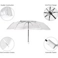 thumbnail image 3 of SHILIU-Clear Umbrella, 3 of 4